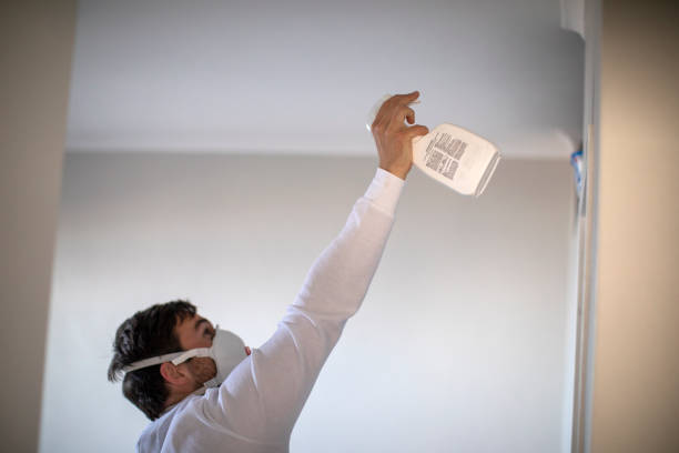 Mold Removal and Inspection in Monticello, IA