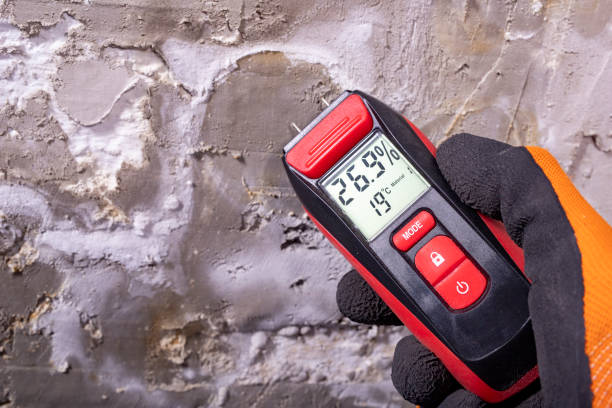 Best Mold Removal Company Near Me  in Monticello, IA