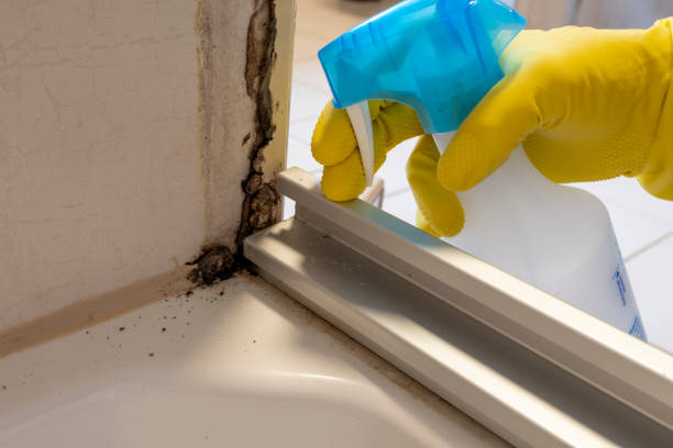 Best Mold Removal Near Me  in Monticello, IA