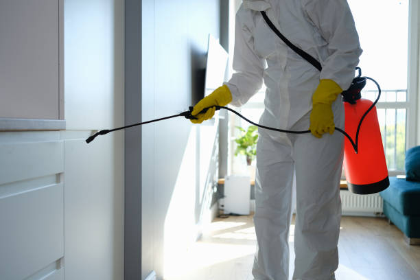 Best Mold Removal Process  in Monticello, IA